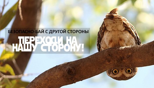О БЕЗОПАСНО-БАЙ С ДРУГОЙ СТОРОНЫ