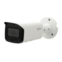 DH-IPC-HFW2431TP-VFS