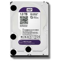 WD10PURZ
