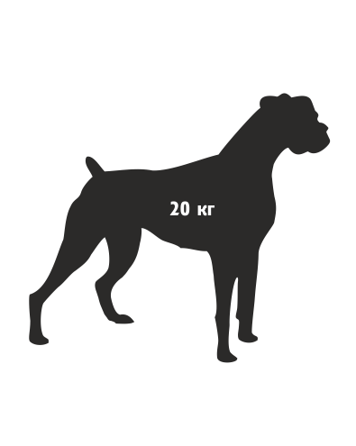 a5121_pet_immune[1]