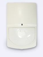 Swan_Quad_Pet3[1]