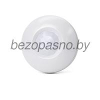 DISC