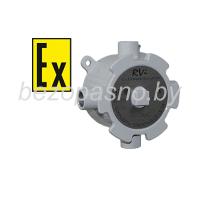 RVi-4TJB-ASP01.С-EX