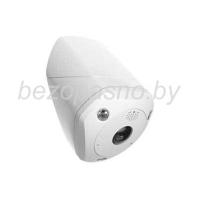 DS-2CD6W32FWD-IVS (2 мм)